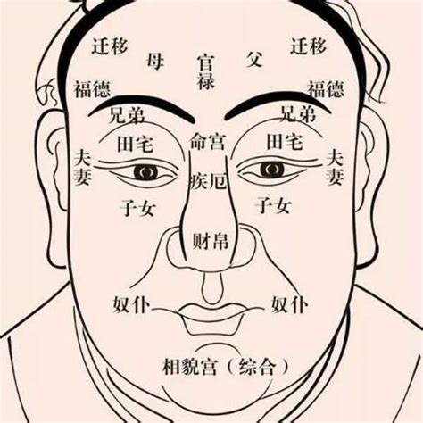 下庭長面相|下庭面相改運法